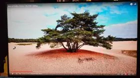 VP2468 VIEWSONIC Widescreen Ips Lcd Monitor #2