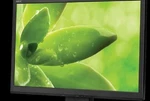 Nec As192wm Accusync 19" Widescreen Lcd Monitor Grade A (no Stand). Fixed Price $110.00.