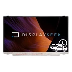 Gaems Ga-g170fhd 17.3" Fhd Led Ips Lcd Display Screen. Fixed Price $140.27.