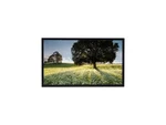 Lg 55tc3cg-h Black 55" 8ms (gtg) 3840 X 2160 (4k) 1.07 Billion Colors Display. Fixed Price $6625.41.