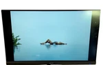 Lot Of 3 Acer 24" Lcd Grade A In Pro Airpack B246hyl No Stand. Fixed Price $149.99.