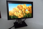 Dell Professional 1909wb 19" Lcd Monitor W/4-port Usb Hub Vga Dvi 1909wf Y320g. Fixed Price $75.89.