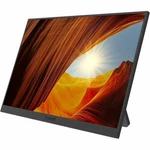 Planar Pm16-s 16" Class Wuxga Lcd Monitor - 16:10. Fixed Price $211.69.