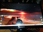 Hannspree Hf207 Computer Monitor - Lcd 19" 16:9 Format -works With Stand. Fixed Price $37.31.