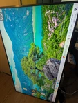 Samsung Qm65h 65" 4k Uhd Commercial Signage Display. Fixed Price $398.99.