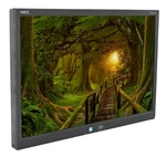 Nec Accusync As221wm 22" Widescreen Lcd Monitor - No Stand. Fixed Price $81.19.