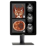Monitor Barco Nio Color Mdnc-2221 K9601789 21 Inches Uxga Lcd - 1600 X. Fixed Price $1823.33.