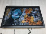 Hp Zr2440w 24" Led Backlit Ips Monitor Black No Stand Dvi Hdmi D Port Tested. Fixed Price $74.99.