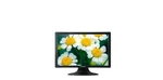 Hyundai U220w 22 Inch Widescreen Lcd Monitor With Stand 1680x1050 Dpi Warranty. Fixed Price $29.00.
