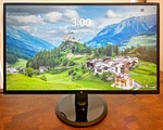 Hp N246v 23.8 Inch Widescreen Ips Lcd Monitor With Stand And Power Cord. Fixed Price $39.99.
