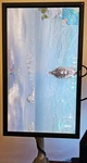 Benq Xl2430t 24-inch 60hz Gaming Monitor. Fixed Price $65.00.
