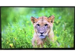 Nec Sharp 55" 4k Uhd Smart Commercial Digital Signage Display Tv Monitor Pn-m552. Fixed Price $1199.99.