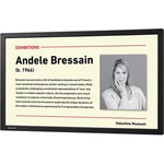 Sharp Pn-y325 32" Full-hd Led Monitor Commercial Signage Screen. Fixed Price $599.00.