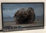 Asus Zenscreen Mb14ac. Fixed Price $113.50.
