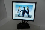Dell P1913s Led Monitor 19" Vga Dvi Dp W/2-port Usb P1913sb P1913sf 39wwp Nwxt6. Fixed Price $65.00.