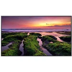 Samsung Qb55c 55" Commercial 4k Uhd Monitor Display - 350 Nits. Fixed Price $1177.63.