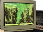 Vintage Gateway Vx900 Cm751u 19" Retro Gaming Crt Color Computer Monitor *read*. Fixed Price $299.99.