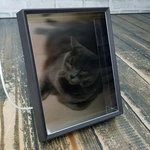 Looking Glass Portrait 7.9" 3d Holographic Display * See Video Works Great. Fixed Price $229.99.