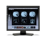 Nec Lcd Monitor Model Md211c3. Fixed Price $445.00.