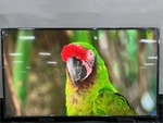 Sony Bravia 55 4k Commercial Display Monitor Fw55bz35l Android Wifi. Fixed Price $399.99.