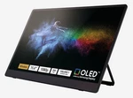 Ricoh 15.6" Fhd Portable Oled Monitor 150bw - Wireless Version. Fixed Price $189.00.