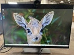 Dell P2424heb 24" Class Webcam Speaker Full Hd Led Monitor - 16:9 Black. Fixed Price $249.99.