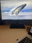 Koorui 22n1 21.5 Inch Monitor Black Mb21v13f9 Vga D-sub Hdmi Standard Display. Fixed Price $44.95.