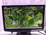 Emachines Flat Panel Computer Lcd Monitor Tft 1366x768 16:9 Vga. Fixed Price $59.99.