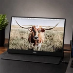 Aoc 16t20 15.6in Ips Portable Monitor Fhd 1920x1080 Usb-c Mini Hdmi. Fixed Price $45.00.