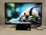 *problem* Asus Tuf Gaming Vg259qm 24.5 Monitor, 1080p Full Hd (1920 X 1080). Fixed Price $52.99.