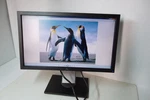 Dell P2010ht / P2011ht 20" Widescreen Monitor 4-port Usb Hub Vga Dvi Dp. Fixed Price $49.98.