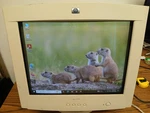 Hp P720 Hewlett Packard D8907 17" Crt Color Monitor 1024x768 85 Hz Vga D-sub. Fixed Price $90.95.