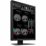 Eizo Radiforce Mx217-bk 21" Class Uxga Led Monitor 3:4 Black Mx217bk. Fixed Price $1280.47.