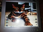 Compaq Tft1701 - Pc Monitor 17" Lcd Format 4:3 Working With Stand. Fixed Price $17.44.