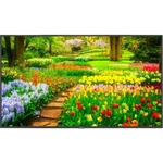 Nec M491-avt3 49" 4k Uhd Commercial Signage Hdr Display Monitor 500nit Tv Tuner. Fixed Price $899.99.