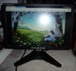 Princeton Digital Vl2018w 20" Widescreen Lcd Monitor Bundle. Fixed Price $68.99.