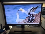Benq El2870u 28 Inch 1ms Gtg 4k Hdr Gaming Monitor With Freesync. Fixed Price $180.00.