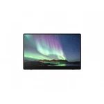 Ricoh 514910 Portable Monitor 150bw. Fixed Price $736.00.