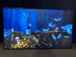 Nec Multisync 49" Led Lcd Commercial Ips Display 4k M491. Fixed Price $999.99.