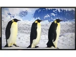 Sharp Multisync M652 65" 4k Commercial Digital Signage Retail Display Pn-m652. Fixed Price $1499.99.