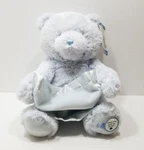 Baby Gund My First Teddy Bear Peek A Boo Blue Animated Plush Stuffed Animal 10". Fixed Price $14.39.