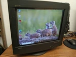 Nec Multisync Ms77f-bk 17" Crt Monitor Clear Flat Black. Fixed Price $74.99.
