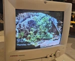 Compaq 14 Presario 1425 Monitor Vintage/retro Gaming Pc 300u. Fixed Price $60.00.