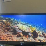 Viewsonic Va2446m-led 24" Led Monitor 1920x1080 Vga Widescreen Black. Fixed Price $30.00.