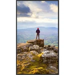 Sharp Pn-e559 55" 4k Uhd Professional Display - Digital Signage. Fixed Price $701.21.