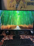 Sony Inzone M10s 27" Oled Qhd (2560x1440) 480hz 0.03ms Gtg Gaming Monitor. Fixed Price $500.00.