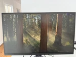 Open Box - Lg Ultragear Gr93u-b 31.5" 4k Uhd Ips Led Gaming Monitor. Fixed Price $439.00.