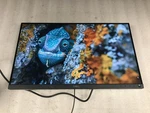 Dell P2418d Pair 2560 X 1440 60hz 24" Flat Panel Monitor Hdmi Cbls - No Stand. Fixed Price $159.99.