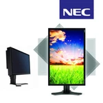 Nec Multisync P221w-bk 22" Hardware Calibratable Wide Gamut Monitor 12 Months G.. Fixed Price $173.30.