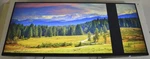 Msi Mag401qr 40" Ultrawide Qhd 3440x1440p 155hz Gaming Monitor Pc1730116. Fixed Price $158.09.